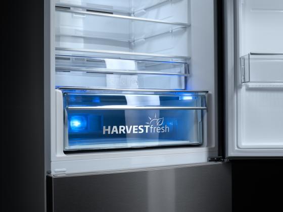 Совсем как в природе: новые холодильники Beko имитируют фотосинтез и сохраняют витамины в овощах и фруктах