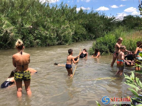 Осторожно: лептоспироз. В этих водоемах на севере опасно купаться