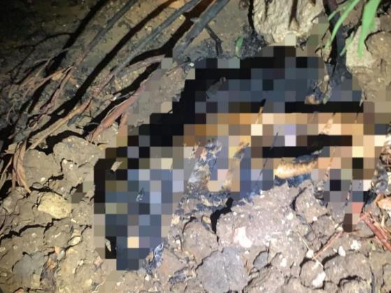 Подозрение: житель Бат-Яма связал и сжег свою собаку