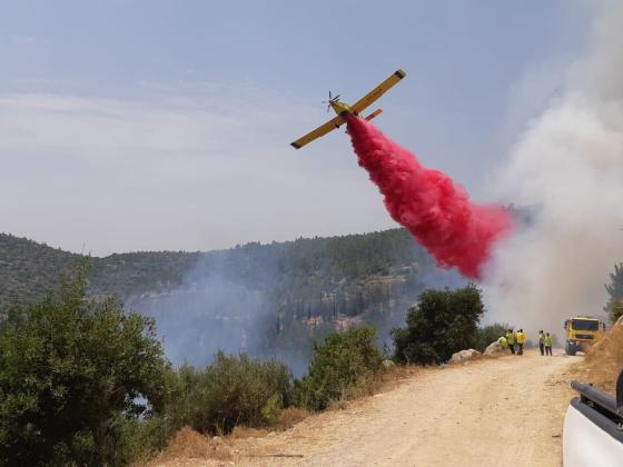 В Израиле сильный ветер и жара. В разных районах страны горит лес и кустарник