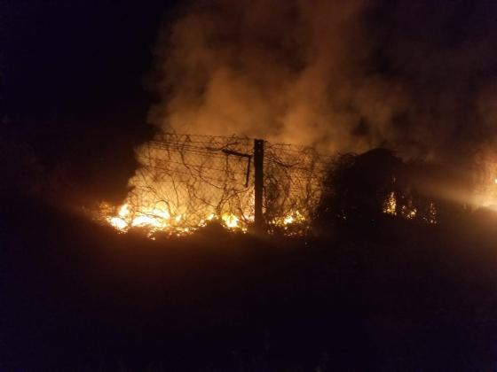 Возобновился пожар в национальном парке возле Мертвого моря