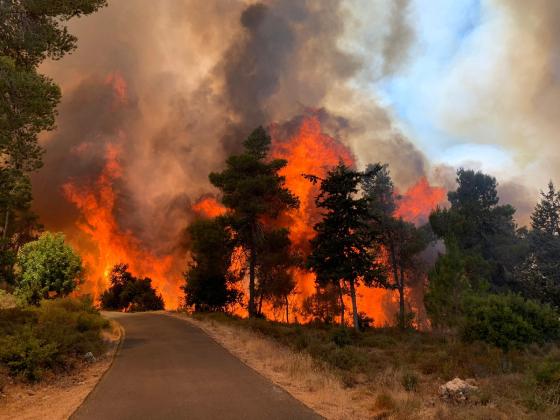 Не только для войны: израильские беспилотники найдут и потушат лесной пожар без участия человека