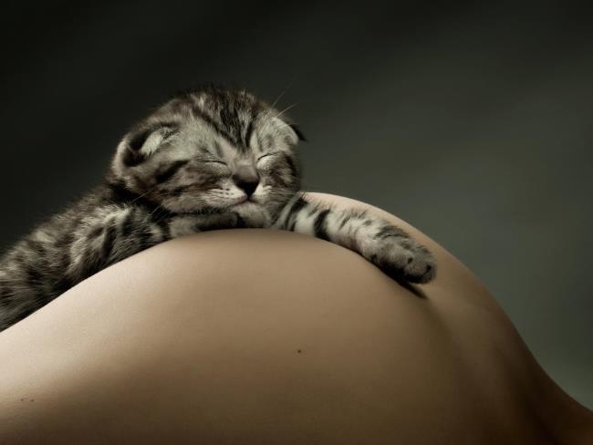 В России запретили слово «жопа» и убрали из словаря «веру», «надежду» и «правду»