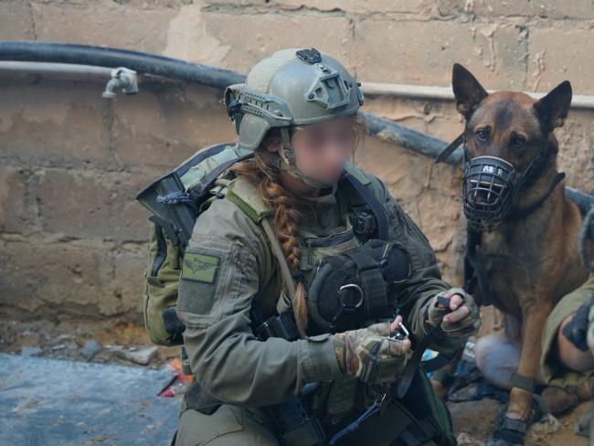 Служебные собаки ЦАХАЛа спасают солдат в Газе, закрывая от пуль своими телами