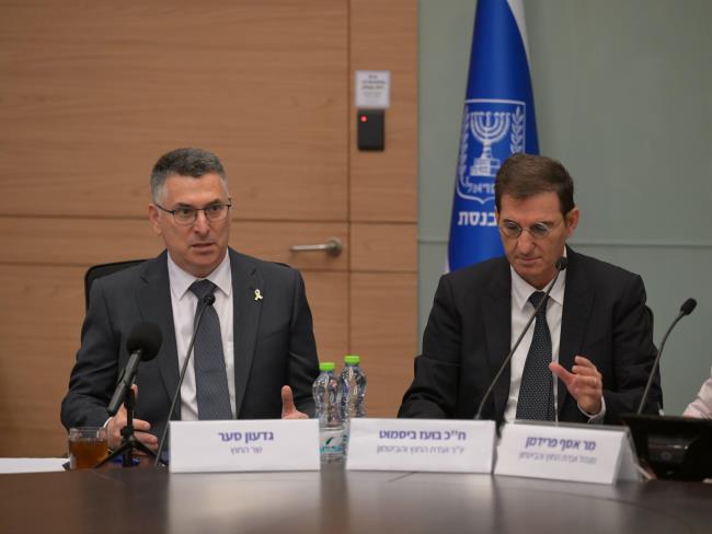 Глава МИД Саар: Мы должны инвестировать в разъяснительную работу так же, как мы инвестируем в самолеты и ракеты-перехватчики