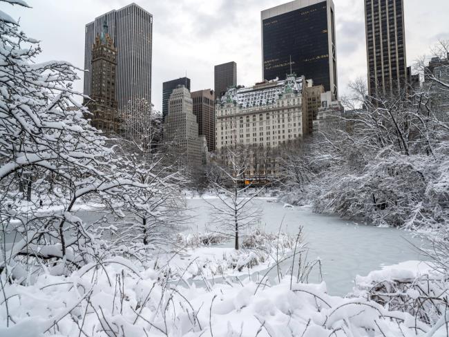 Число жертв снежного шторма в США достигло 30 человек, сотни тысяч без электричества