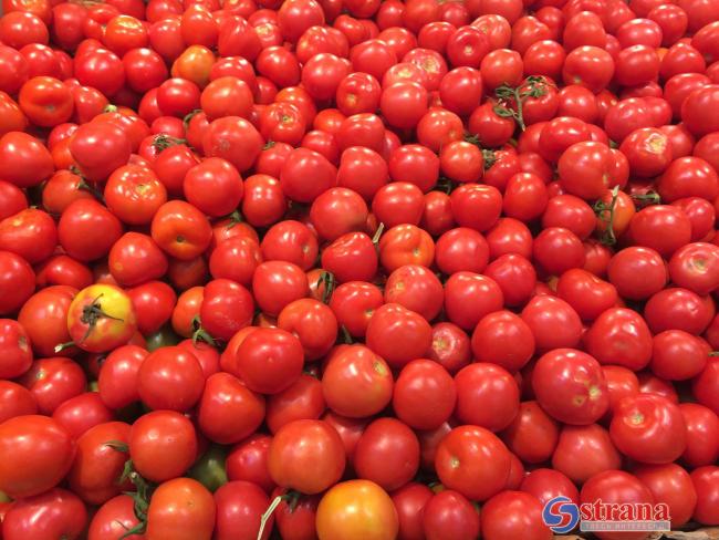 В связи с антиизраильской риторикой Эрдогана Израиль увеличил импорт помидоров из Иордании