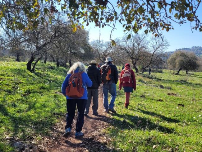 Лучшие заповедники и национальные парки Израиля