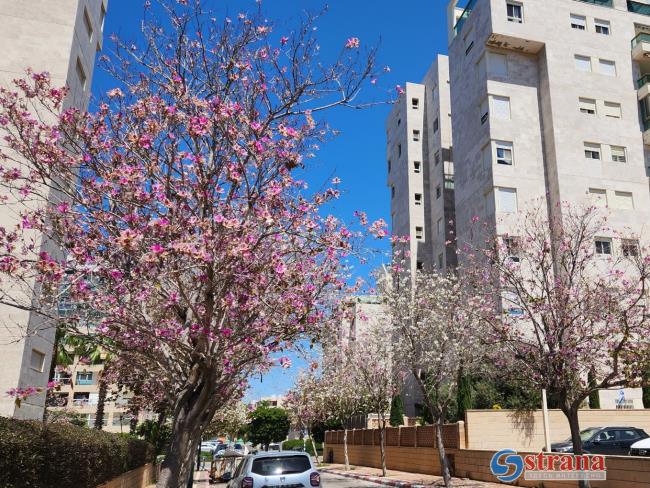 Прогноз погоды в Израиле на 20 апреля: прохладно, слабые дожди на севере