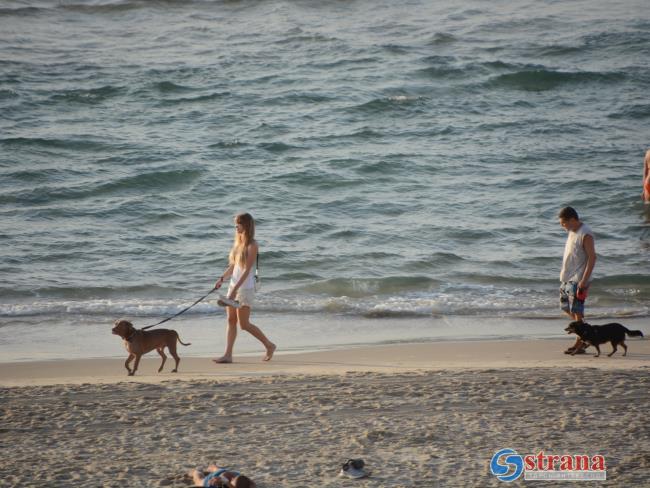 Прогноз погоды в Израиле на 6 января: тепло, переменная облачность