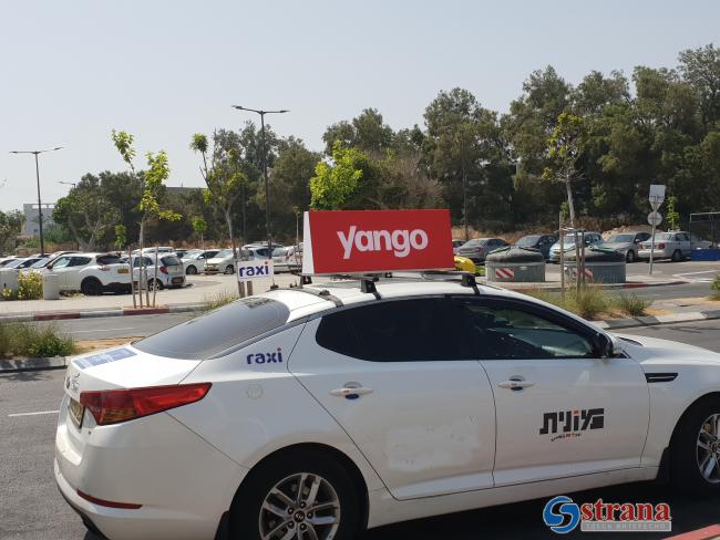 Приложение Yango еженедельно переходит под контроль шабес-гоя