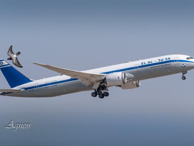 Самолет «Эль-Аля», летевший в Тель-Авив, вернулся в аэропорт Дубая вскоре после взлета