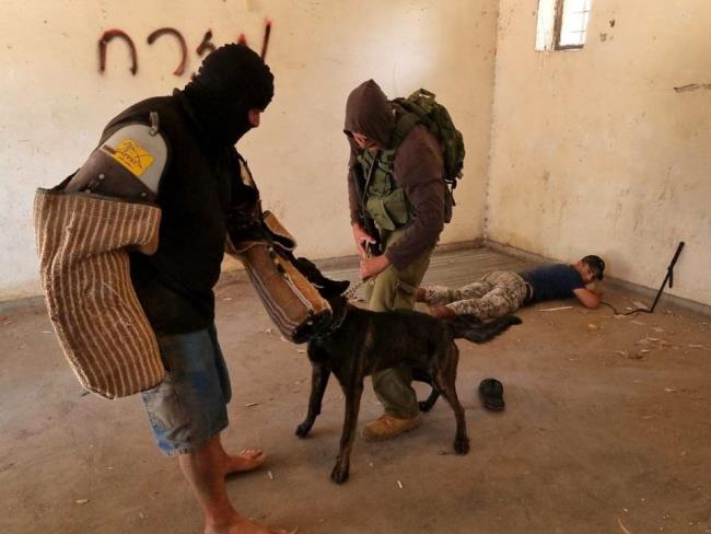 Борьба с террором: в Иудее и Самарии увеличат число сторожевых собак