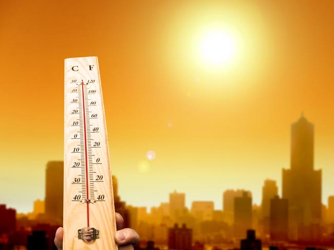 Синоптики: аномальная жара может продолжаться вплоть до августа