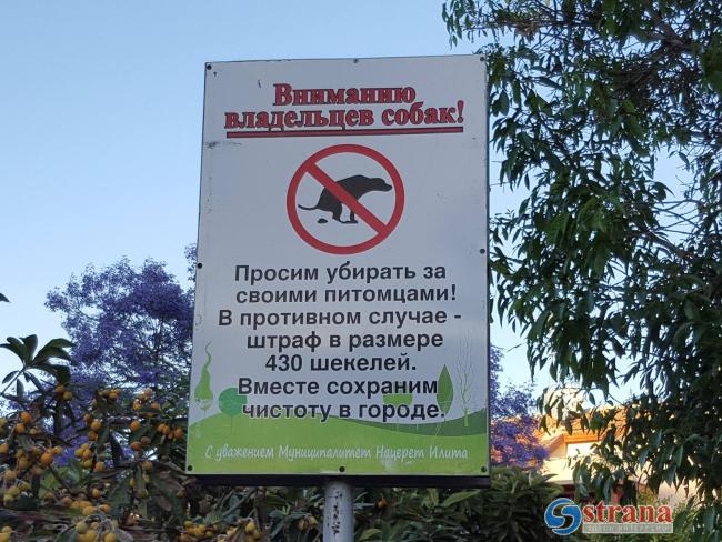 Принят закон, который позволит выявлять собак, нагадивших в общественном месте 