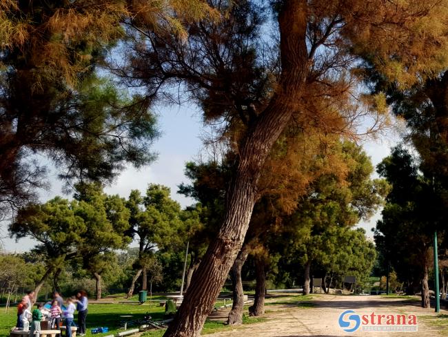 Прогноз погоды в Израиле на 20 декабря: прохладно, переменная облачность