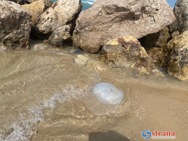 Сегодня купание в Средиземном море опасно: волны и медузы